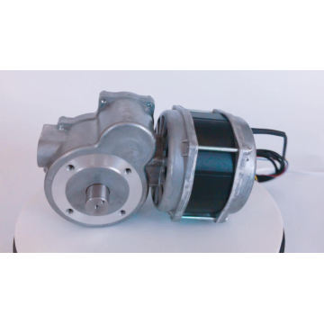 220V 125mm Ac worm gear motor for vehicle barrier